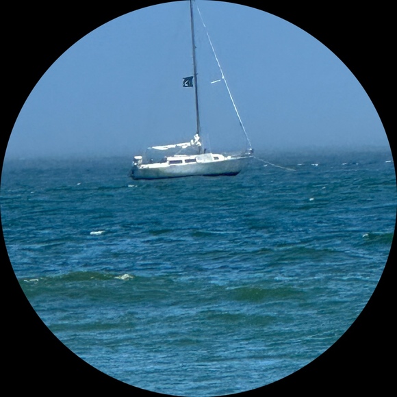 Allyson Keddie - Poshmark Profile Picture of Allyson Keddie (@nikki3150) on Poshmark