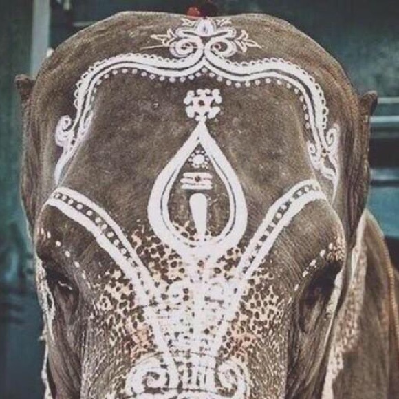 Britany Hollenquest - Poshmark Profile Picture of Britany Hollenquest (@britanyalaya) on Poshmark