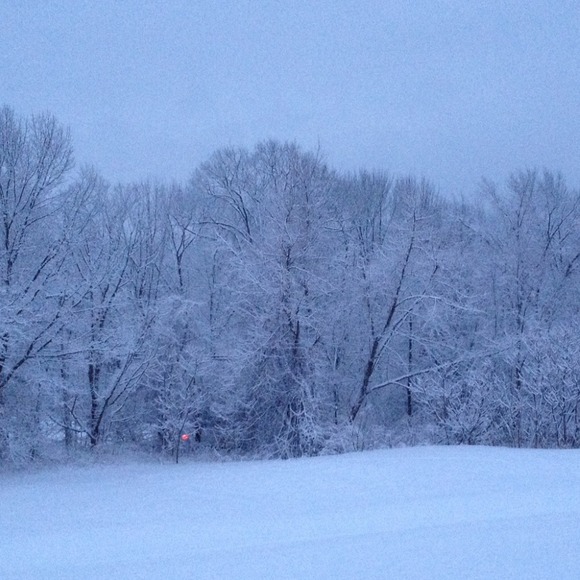 Profile Picture of Jess Morrison (@jmor0720) on Poshmark