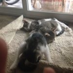 Profile Picture of Elijahkeaton (@coolerspace1235) on Instagram
