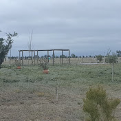 Profile Picture of Daniela Luna (@ValePvP) on Youtube