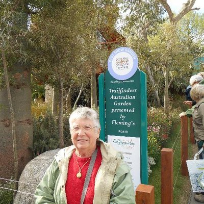 Profile Picture of Ann Holbrook (@englishthesis) on Twitter
