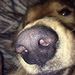 Profile Picture of Carson Barry (@killercarsond) on Pinterest