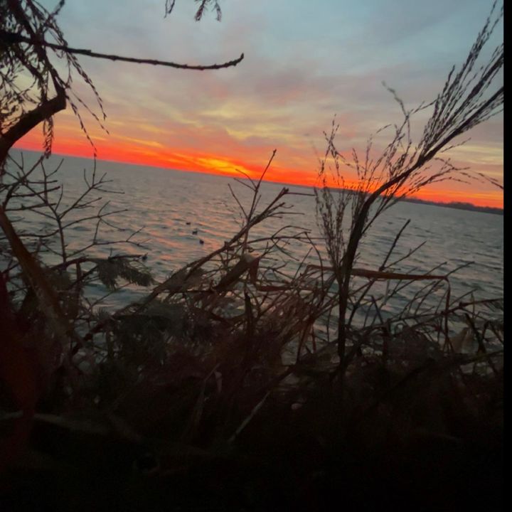 Profile Picture of Brady Keller (@brady.keller) on Tiktok