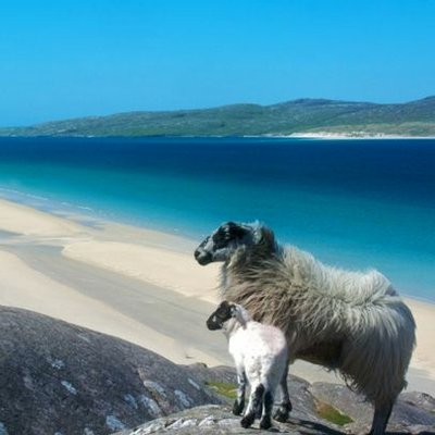 Profile Picture of Stephen Macleod (@stemacl) on Twitter