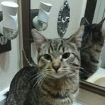 Profile Picture of Cristy Matias (@cristy.matias.253516) on Facebook