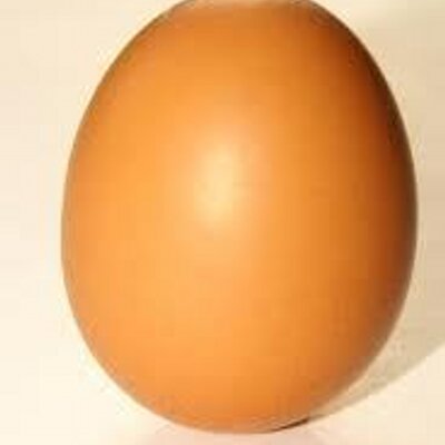 Profile Picture of Jeff Basler (@jeffbasler) on Twitter