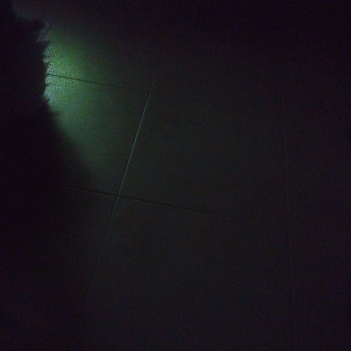 Profile Picture of Hugo Martins (@martins_joao_1234567) on Tiktok