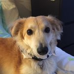 Profile Picture of Susan Pierce (@pierce.susan) on Instagram