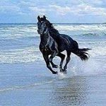 Profile Picture of robert nanni (@nannirobert) on Instagram