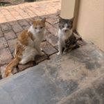 Brendan Read - Instagram Profile Picture of Brendan Read (@brendan.read_79) on Instagram