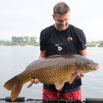 Profile Picture of Andrew (@andrew_carp17) on Instagram