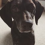 Profile Picture of Brooke & Dakota (@brookeanddakota.thepointers) on Instagram