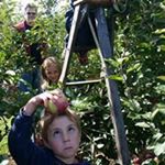 Lynette Ridgeway Goulet - Instagram Profile Picture of Lynette Ridgeway Goulet (@ridgewaygoulet) on Instagram