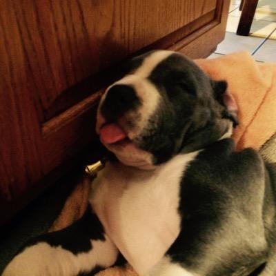 Profile Picture of Steve Frederick (@Frederic14Steve) on Twitter