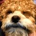 Profile Picture of Holly Clayton (@hbclayton6) on Pinterest