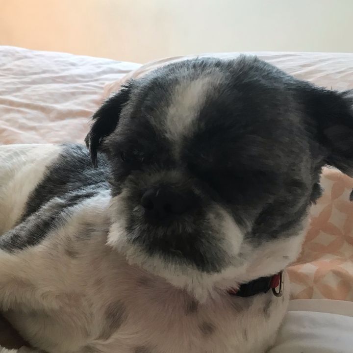 Profile Picture of Craig (@craig.gwood) on Tiktok