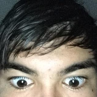 Profile Picture of BRENT LERMA (@BrentLeema) on Twitter