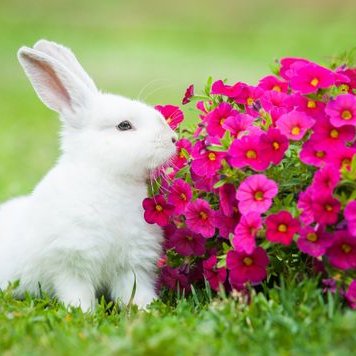 Profile Picture of Happybaby (@Manvir__gill) on Twitter