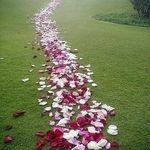 Profile Picture of Asaad Shaker (@asaad.shaker.56) on Instagram