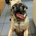 Profile Picture of Peter Cheong (@beerbutterjellytime) on Instagram