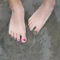 Profile Picture of Sheryl Clark-Larson (@sherb25) on Pinterest