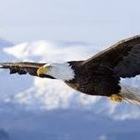 Profile Picture of Luis Cerna (@luis-cerna-12) on Quora