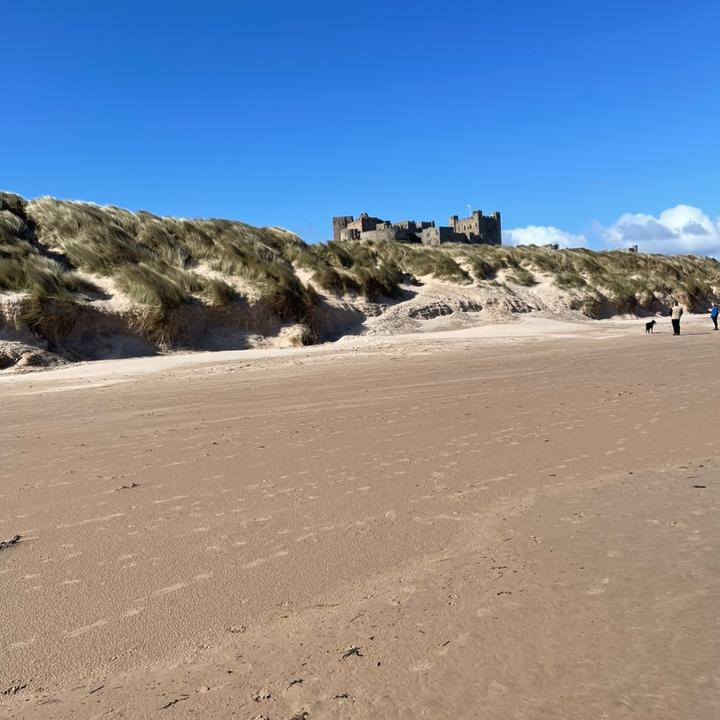 Profile Picture of Tracy Andrews (@tracyandrewso) on Tiktok