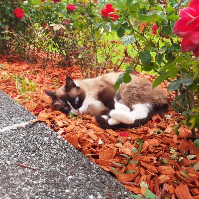 Profile Picture of Andy Exe (@AndyExe5) on Twitter