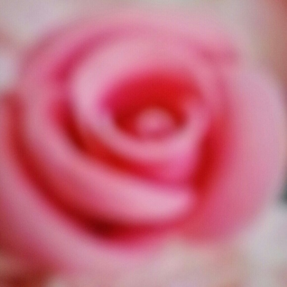 Profile Picture of Cake Cake (@cakecake1029) on Poshmark