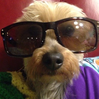 Profile Picture of Devon Boyer (@dabnj928) on Twitter