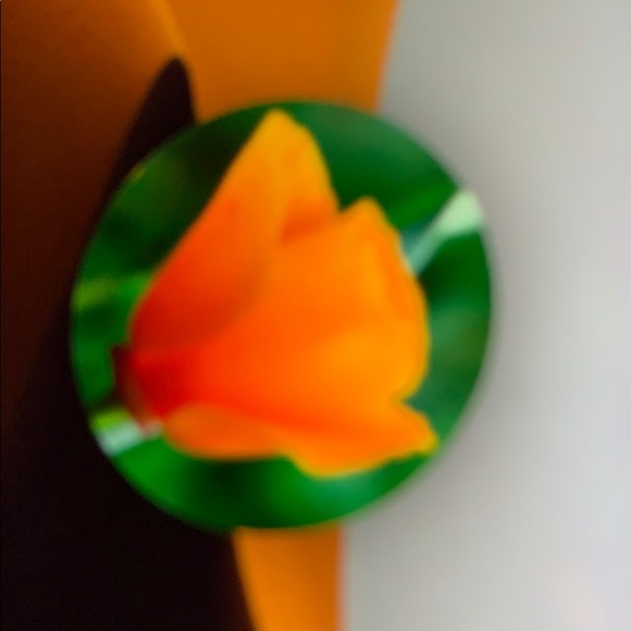 Ivette Chaderton - Poshmark Profile Picture of Ivette Chaderton (@ivetteposh722) on Poshmark