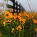Profile Picture of Toni Hopper (@tphotos) on Pinterest
