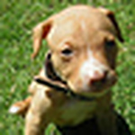 Profile Picture of Fernando M. Morgan (@fernando m. morgan) on Flickr