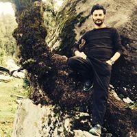 Profile Picture of Kapi Panet (@kapi-panet) on Quora