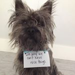 Paul Shumway - Instagram Profile Picture of Paul Shumway (@shumway.paul) on Instagram