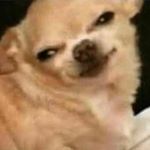 Profile Picture of Alex Rotar (@alex._.rotar) on Instagram