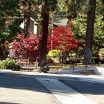 Profile Picture of Manuela Daniels (@manuela.daniels.9) on Instagram