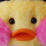 Profile Picture of 성은하요이름은리보라네 (@0_and_richae) on Instagram