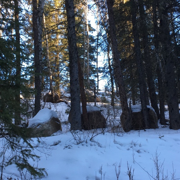 Profile Picture of Bailey Bobbins (@delaniedarichuk) on Poshmark