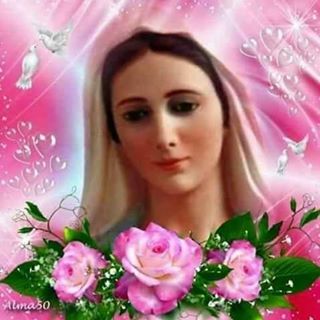 Profile Picture of Daliya Thomas (@Daliya-Thomas) on Facebook