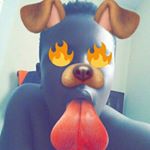 Profile Picture of Cleonard Cheeley (@itss.chilli) on Instagram