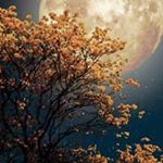 Profile Picture of Ugochukwu Christopher Achor (@ugochukwu.achor) on Instagram