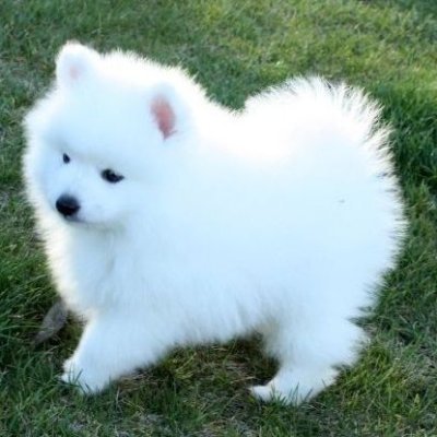 Profile Picture of Bishop (@MarioRaymond14) on Twitter