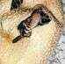 Profile Picture of Ron Allen (@ron.allen.73345) on Facebook