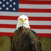 Profile Picture of James ODell (@jamesodell9382) on Youtube