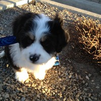 Profile Picture of Dustin Michaels (@dustin-michaels-2) on Quora