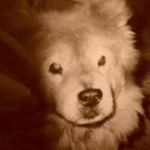 Profile Picture of Louis Mizerek (@mizereklouis) on Instagram