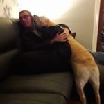 Profile Picture of Andrew Stoddart (@andrew.stoddart3) on Instagram