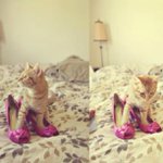 David Simmonds - Instagram Profile Picture of David Simmonds (@rapshabbyben) on Instagram